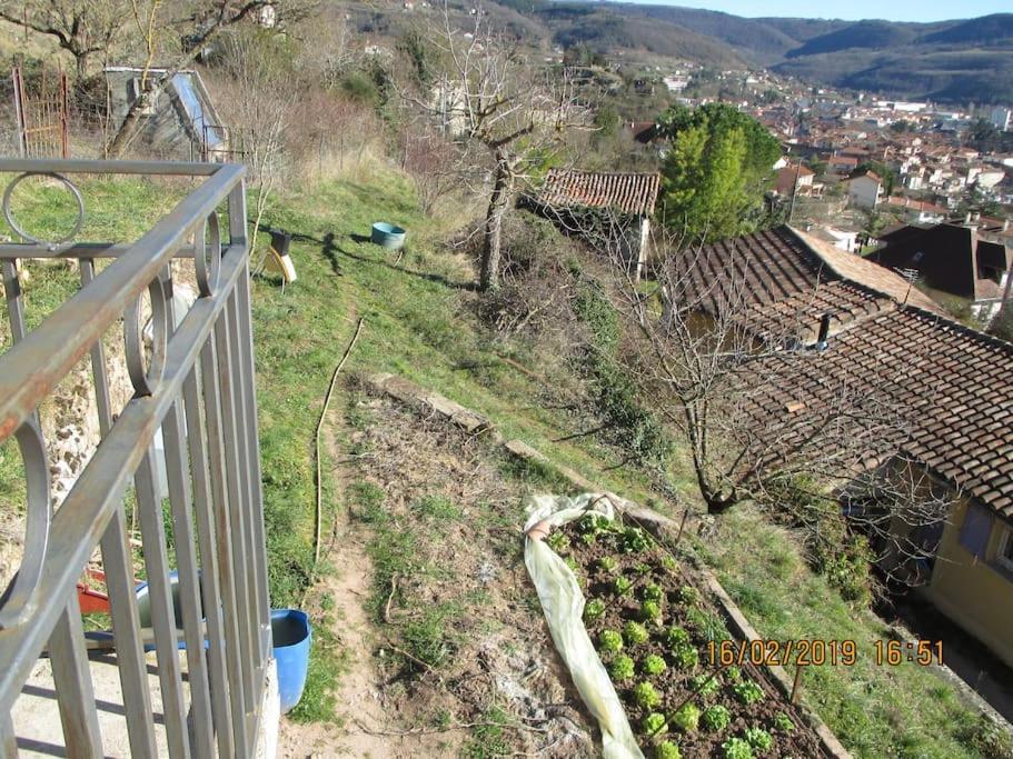 Maison De Vigne Renovee سانت أفريك المظهر الخارجي الصورة